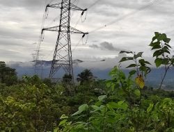 Selain Jaga Keamanan Aset, PLN Gandeng Taman Nasional Gunung Halimun Salak tuk Dukung Pelestarian Ekosistem Flora dan Fauna