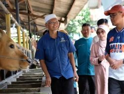 Menugaskan Tim di 11 Kecamatan Baik Medik Ataupun Paramedik Untuk Pemeriksaan Hewan Qurban di Kota Depok