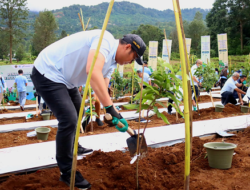 Ketua DPRD Sastra Winara Ikut Tanam 2.450 Pohon di Hulu Ciliwung bareng Menteri LH